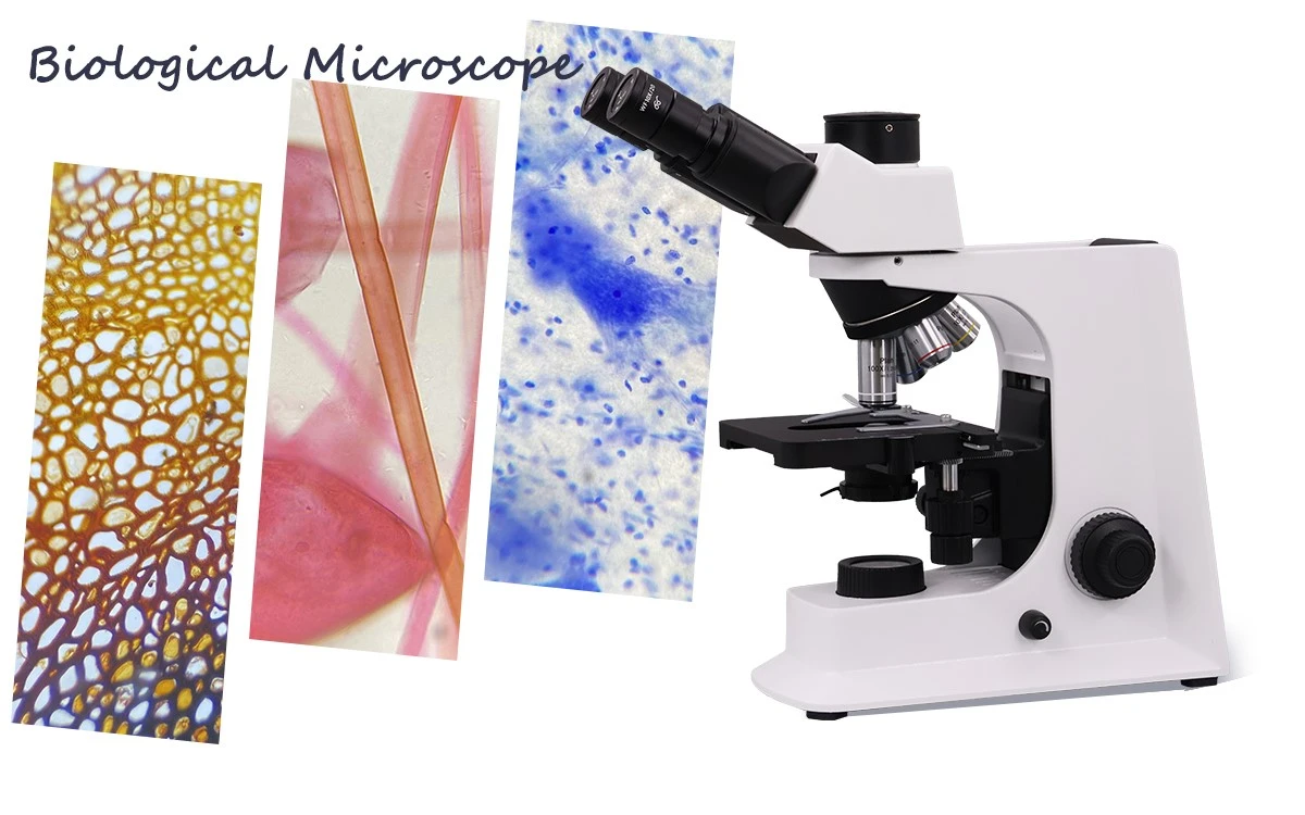 Trinocular biological microscope 40-1000X for labs Trinocular biological microscope 40-1000X for labs