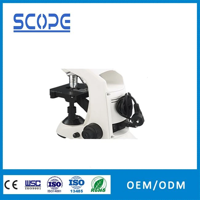 China professional laboratory biological microscope for sale