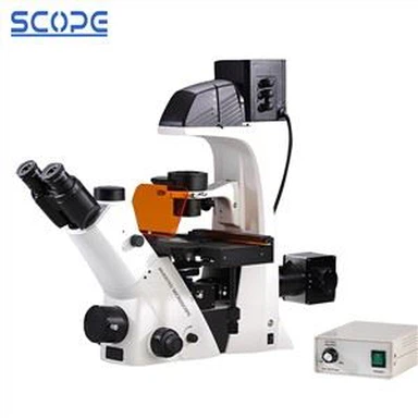 Faz Kontrastlı Ters Floresan Mikroskobu